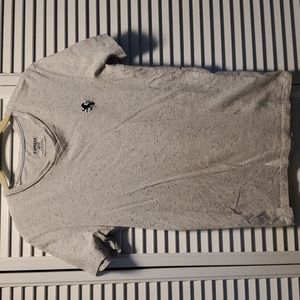 Men's (or Women's) Express V-Neck T-Shirt, XS, Gray, 100% Cotton